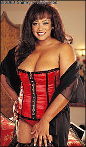 Satin Strapless Corset